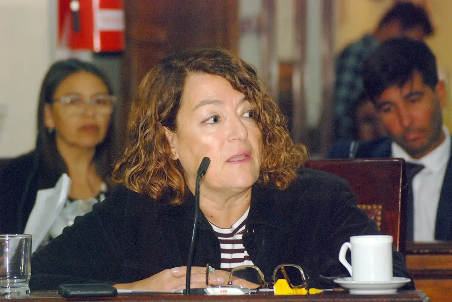 Adriana Pérez. Concejala de la UCR.