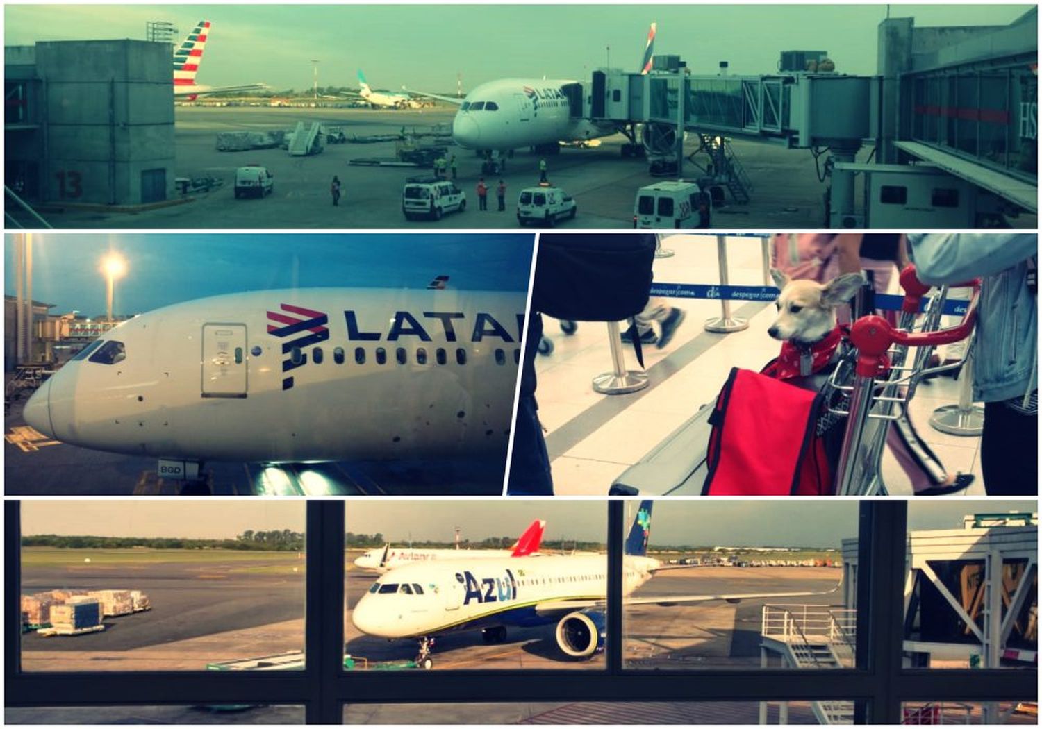 [Fotogalería] Postales del aeropuerto de Ezeiza en la tarde de este miércoles