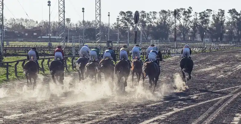 Martes 3: Actividad Hipódromo de La Plata