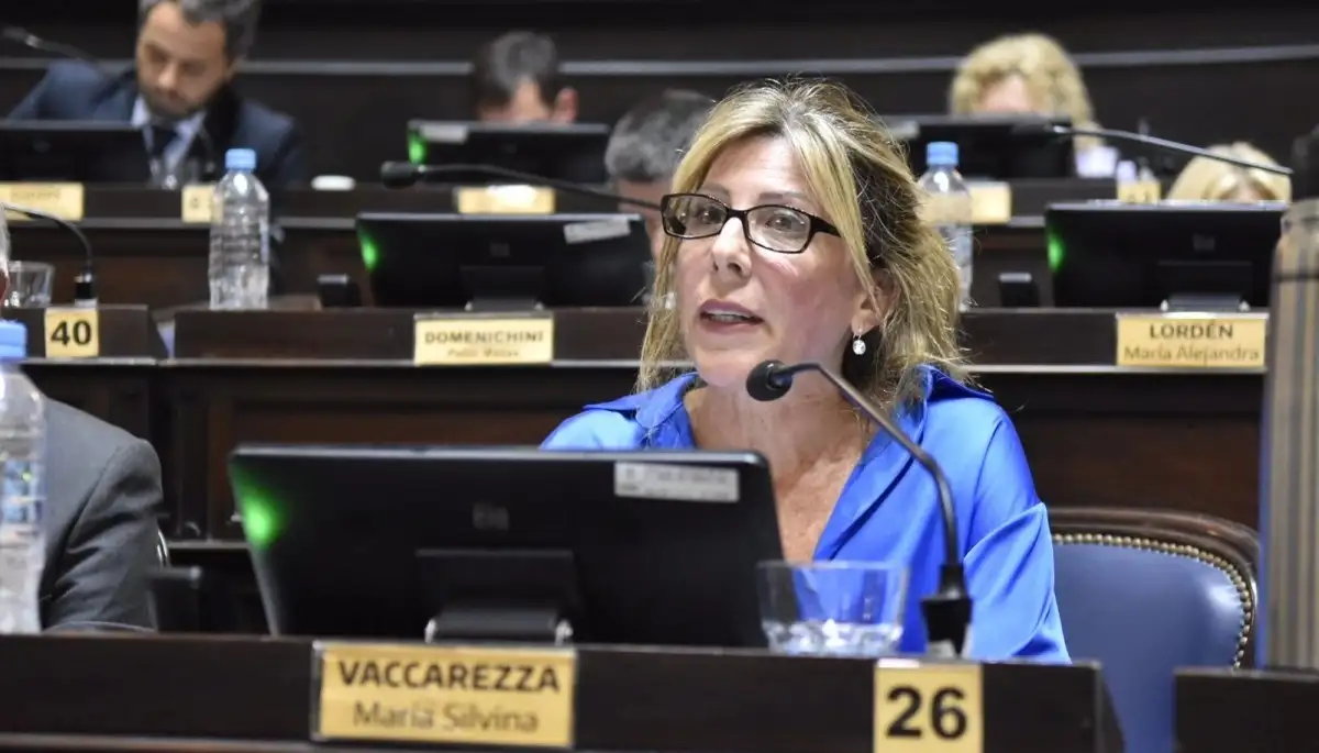 Silvina Vaccarezza, diputada por la Cuarta Sección Electoral.