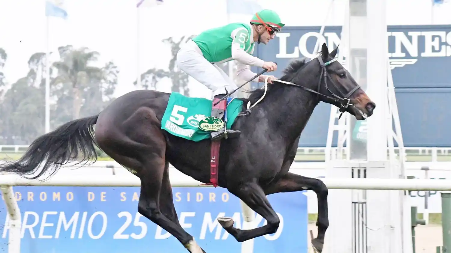 Ardiendo, héroe del Gran Criterium (G1), va por el Ensayo (G3) en San Isidro pensando en el Jockey Club (G1).
