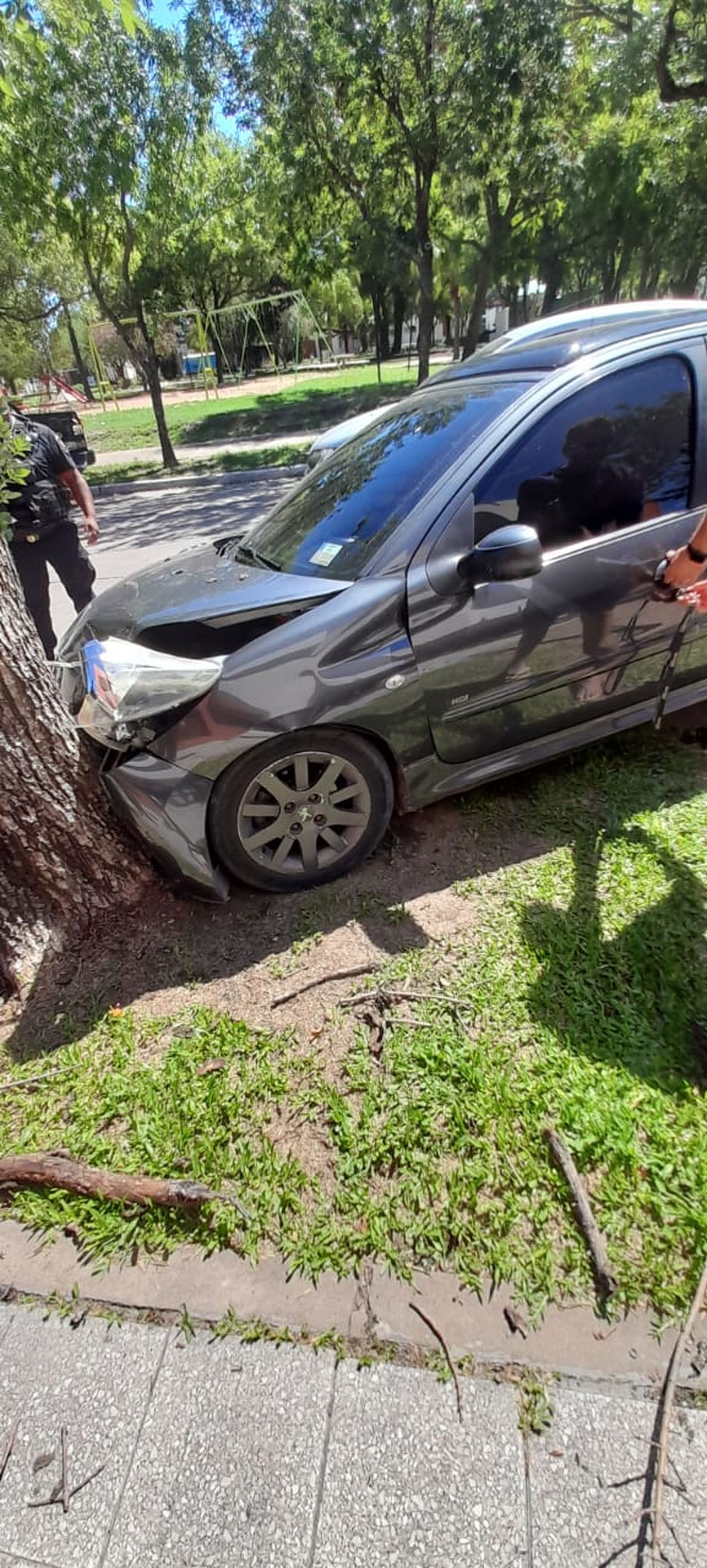 Fuerte impacto: Un conductor perdió el control de su auto y terminó chocando un árbol