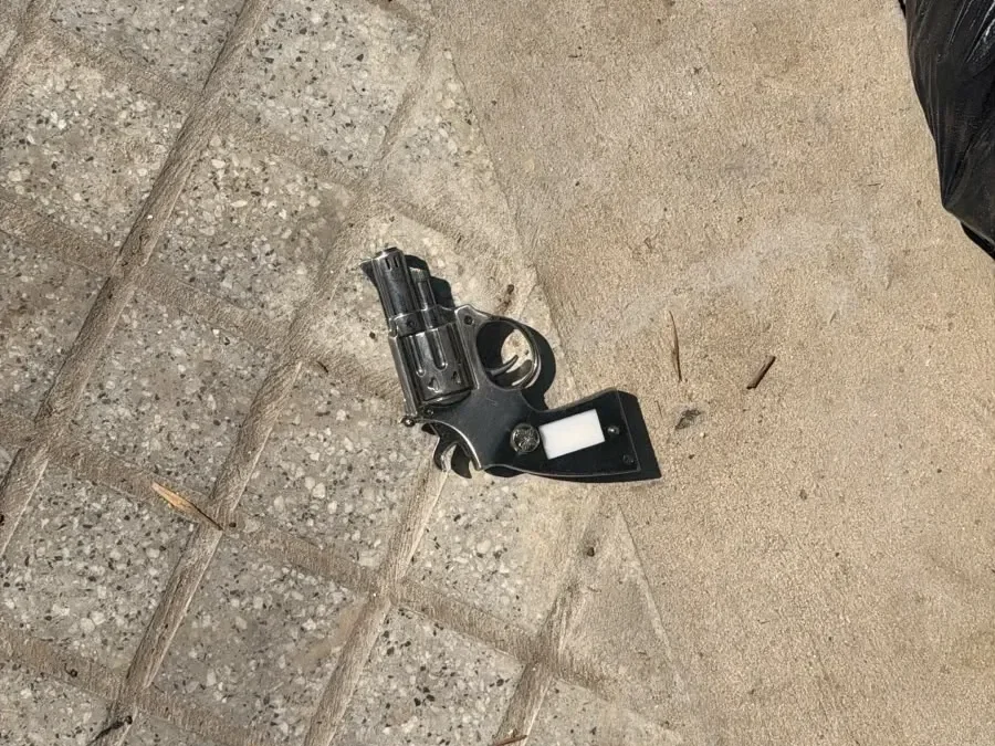 Miniatura de imagen 2