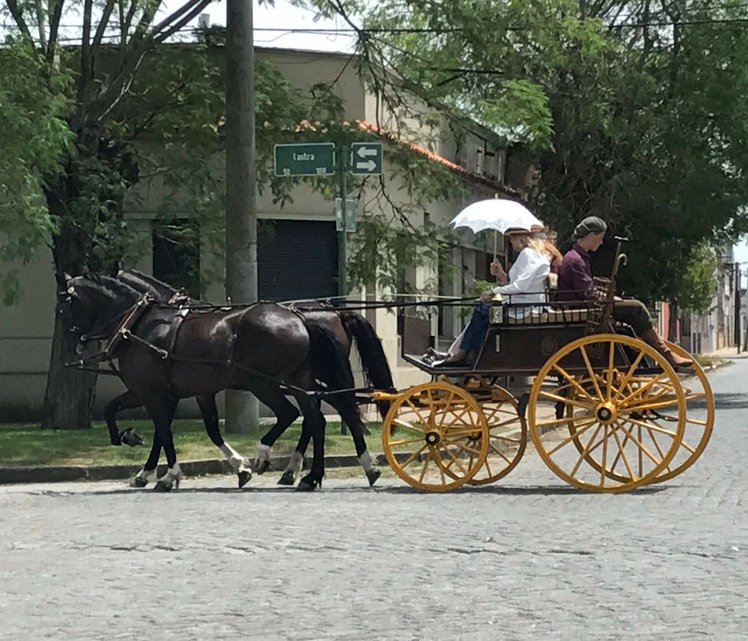 Los días 21 y 22 de septiembre, se llevará a cabo el 10 Encuentro del Caballo y el Carruaje de Chascomús.