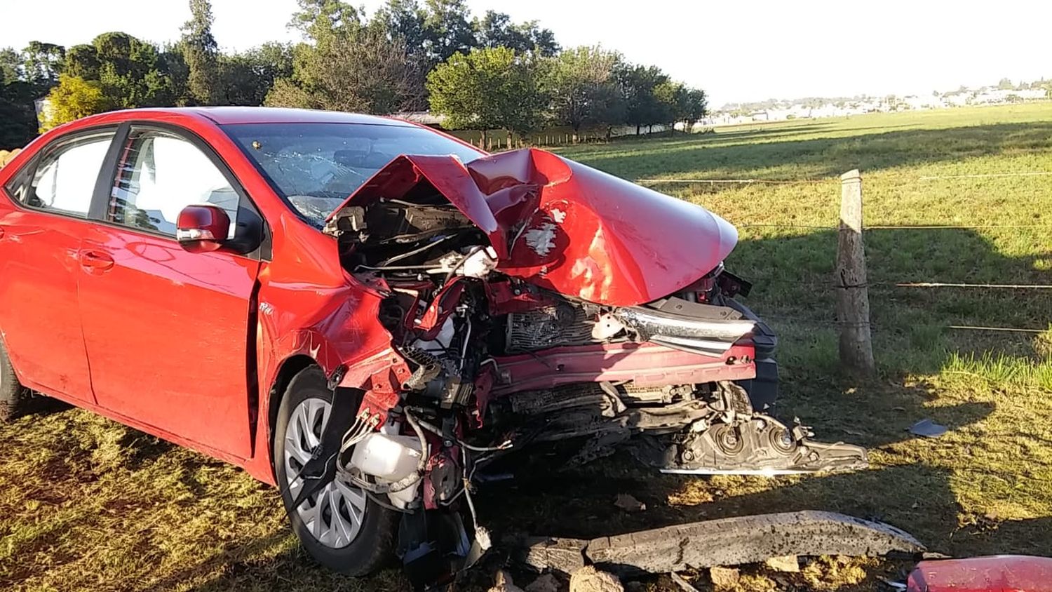 Perdió el control de auto y colisionó contra un árbol