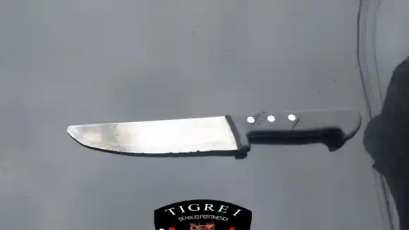 Una joven trató de atacar a su padre con un cuchillo y fue detenida en la zona norte