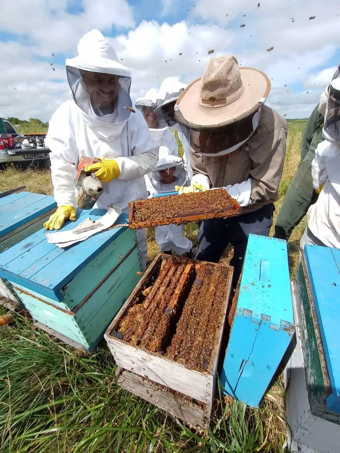 Jornada de iniciación apícola en la unidad demostrativa del INTA Chascomús