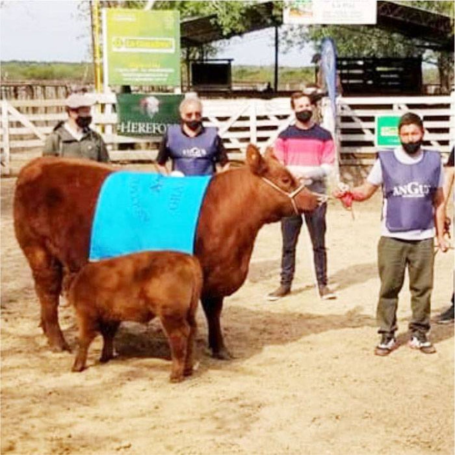 Desde FARER remarcaron que las  exposiciones  ganaderas �Svisibilizaron el protagonismo del campo⬝