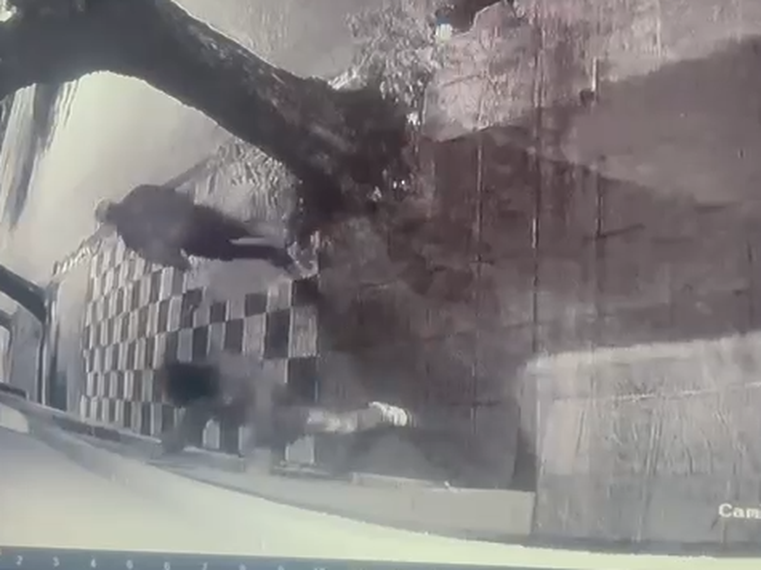 Vandalismo: un grupo de jóvenes rompió un vidrio a patadas en una casa de Las Heras