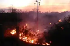 Islas de Las Lechiguanas: continúan los operativos