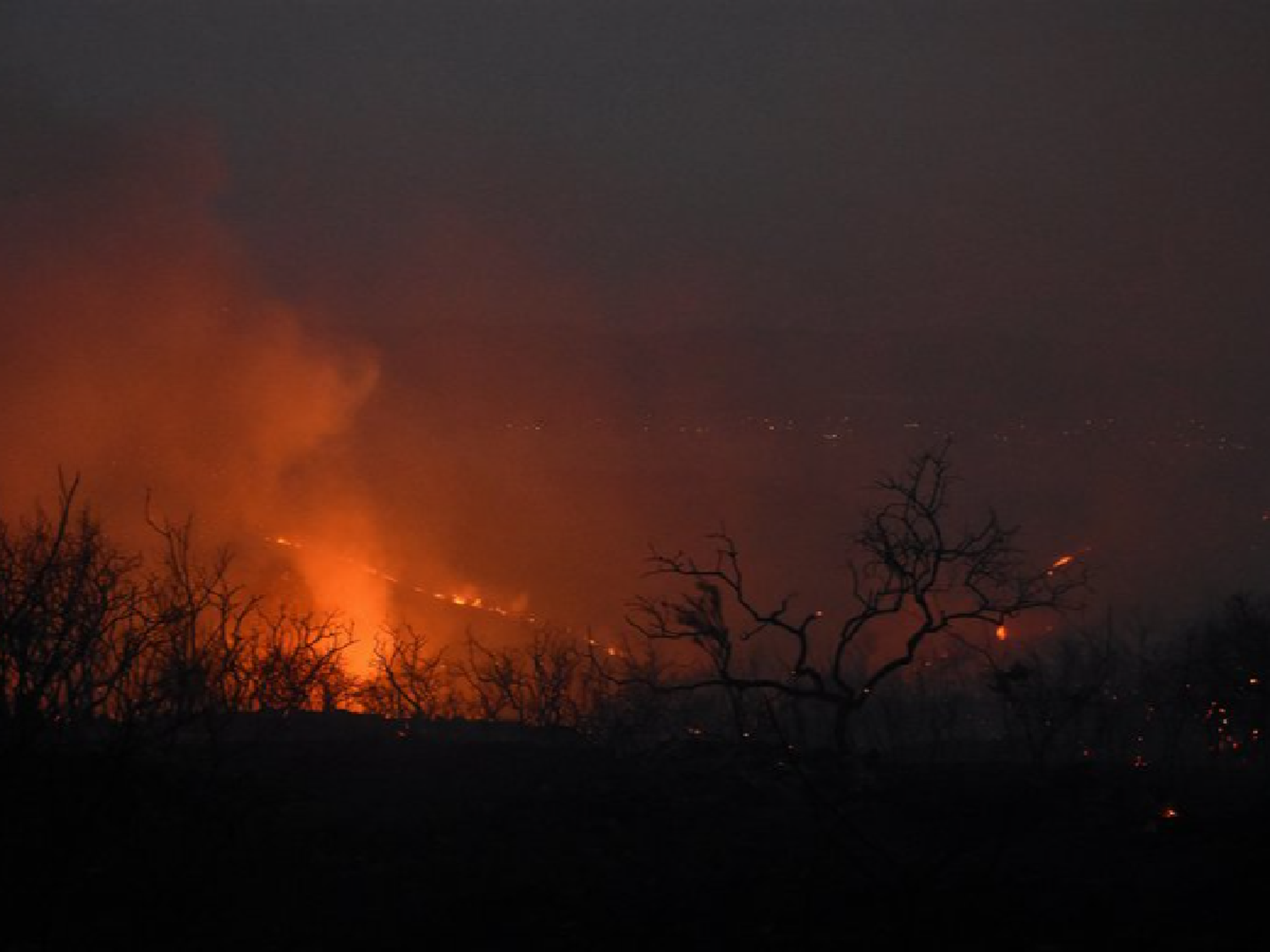 Córdoba: dictan prisión preventiva para dos imputados por causar un incendio que afectó a miles de hectáreas