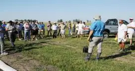 Lo último contra malezas en arroz: nueva resistencia genética a un nuevo herbicida