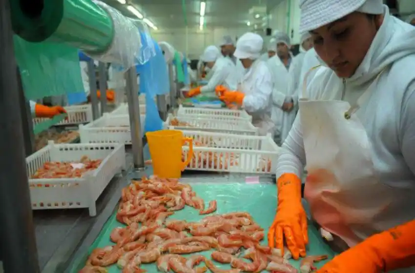 Sólo el 23% de las empresas marplatenses exporta productos o servicios