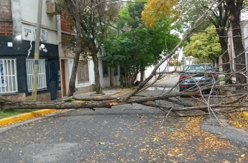 Reportan centenares de reclamos por las consecuencias de los fuertes vientos