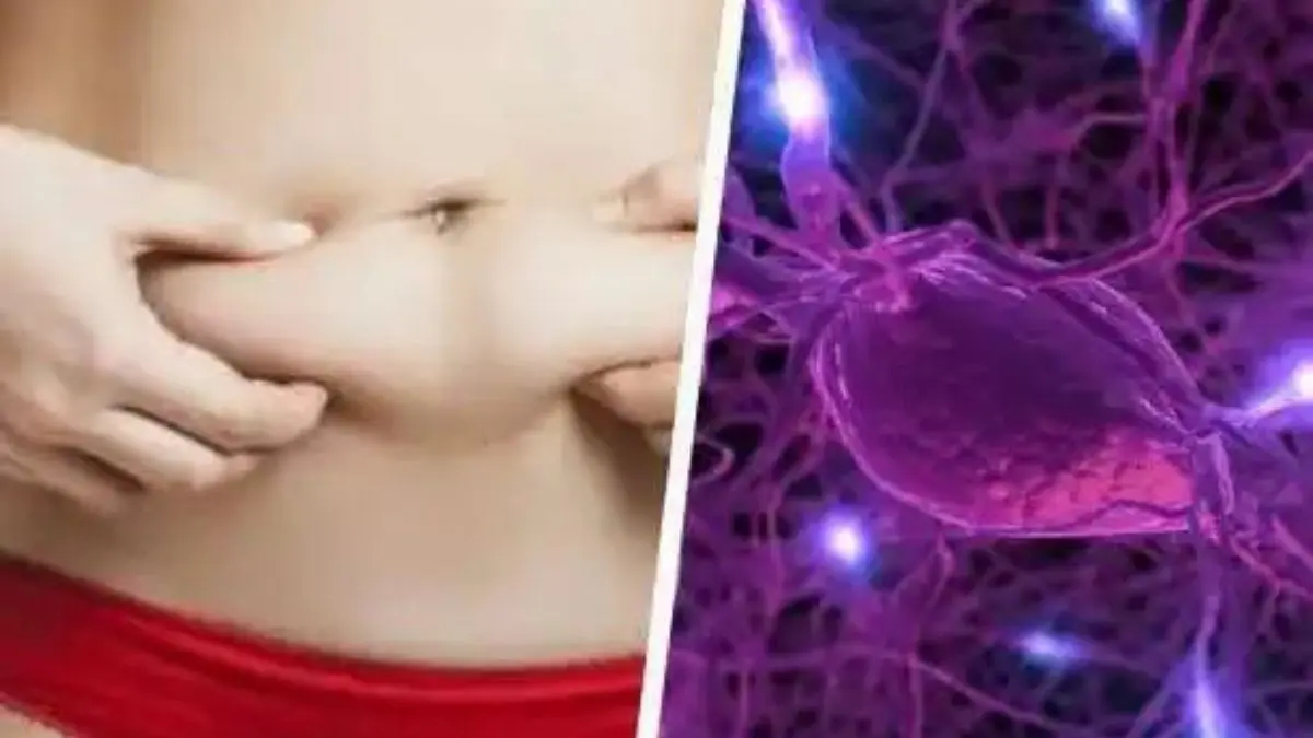 Así el desequilibrio hormonal daña tu aspecto físico (+Síntomas)