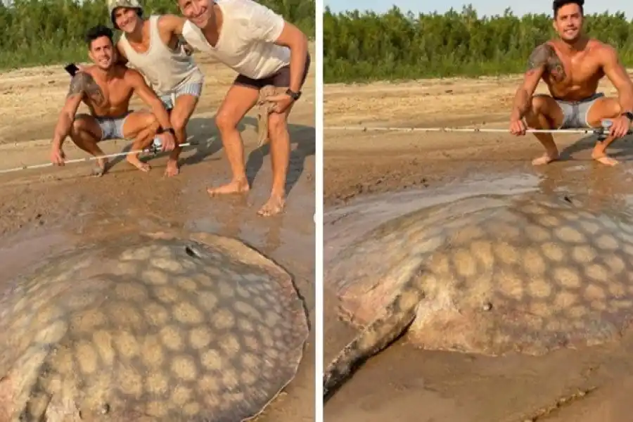 Fotos y video: pescaron una raya gigante mientras estaban de vacaciones en el río Paraná