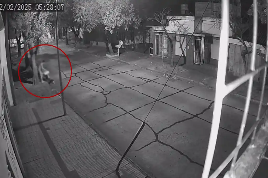 La cámara de seguridad del sector captó el momento