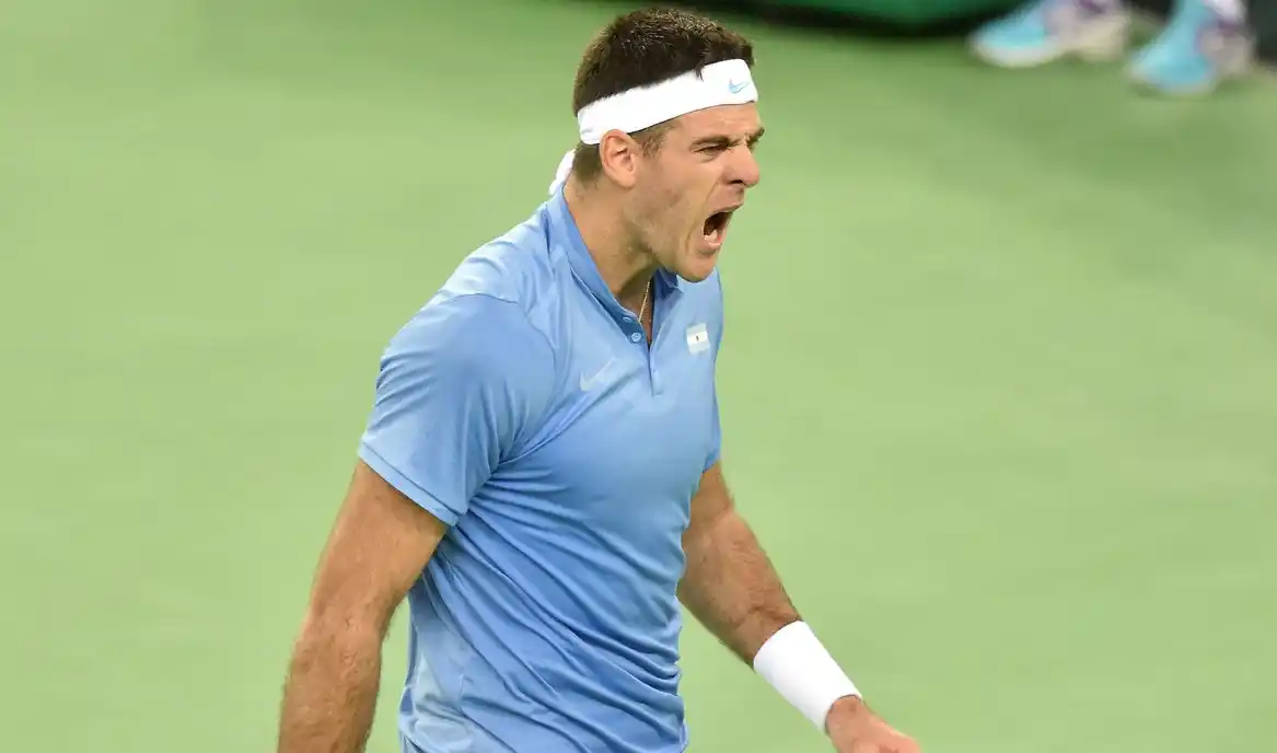 Final de la Copa Davis: Del Potro derrotó a Karlovic y la serie está empatada