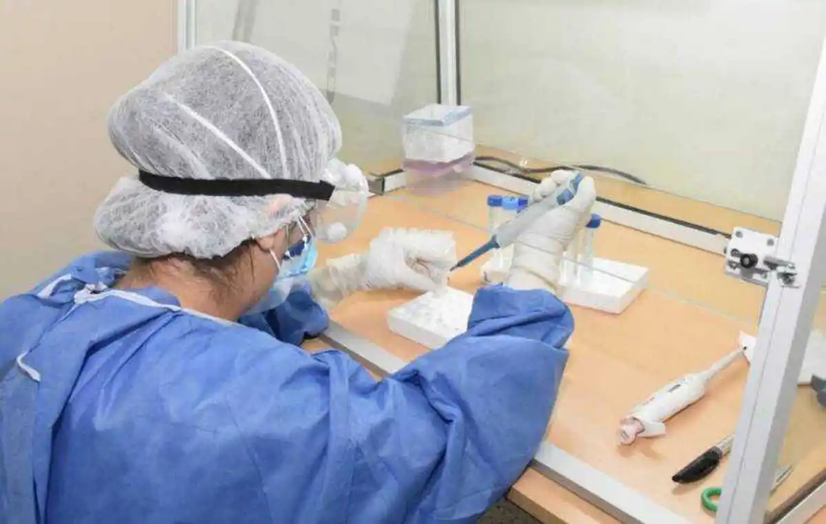 Viernes con 11 nuevos contagios de covid-19