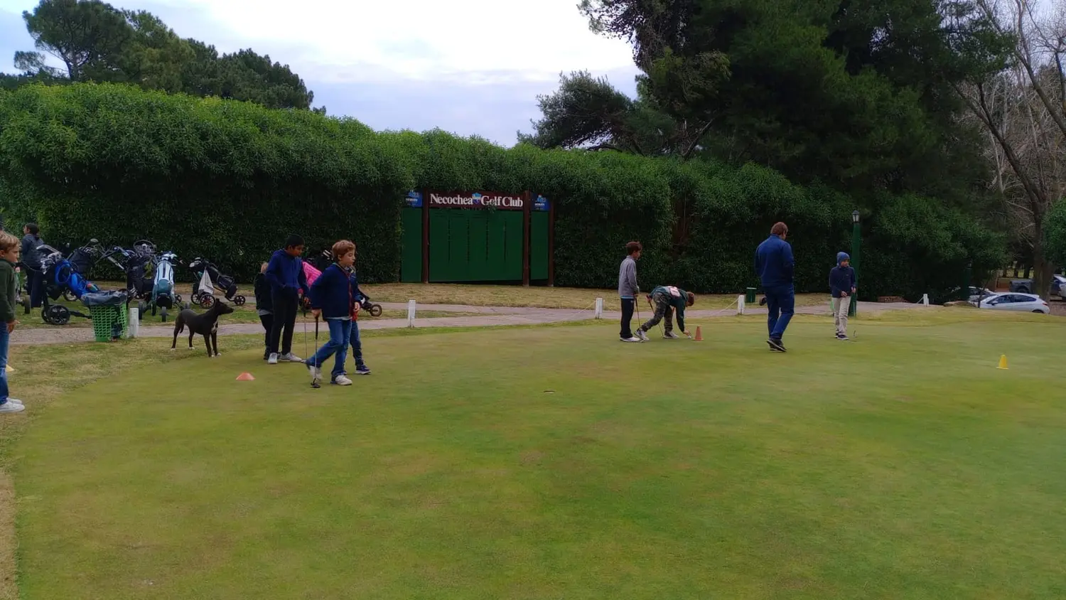 Necochea Golf Club. Gran concurrencia en el Torneo Virtual
