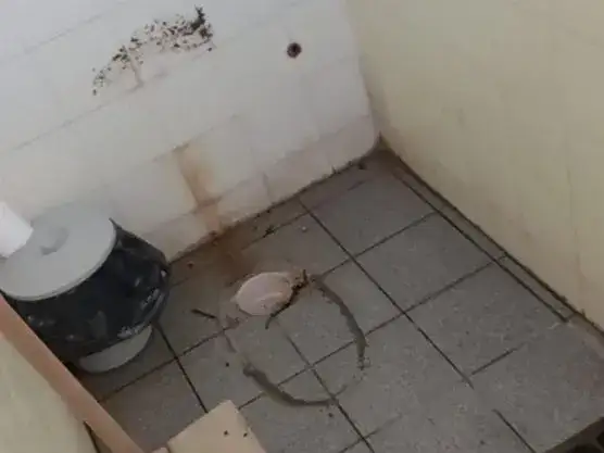 Indignante robo en una escuela: se llevaron hasta los inodoros