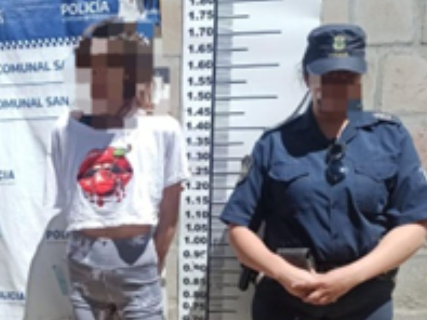 La mujer intentó quedarse con las llaves del automóvil de su expareja.