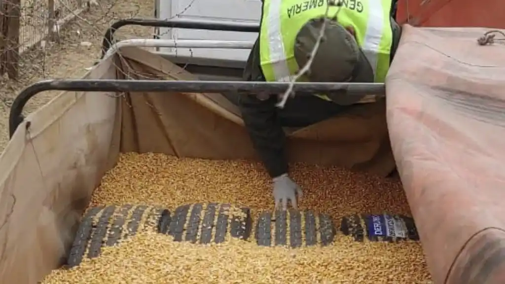 Traficaban más de 100 neumáticos escondidos en en un camión de granos