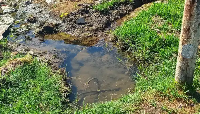 Múltiples barrios se ven afectados por esta problemática.
