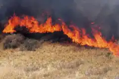 Entre Ríos y San Luis registran focos activos de incendios