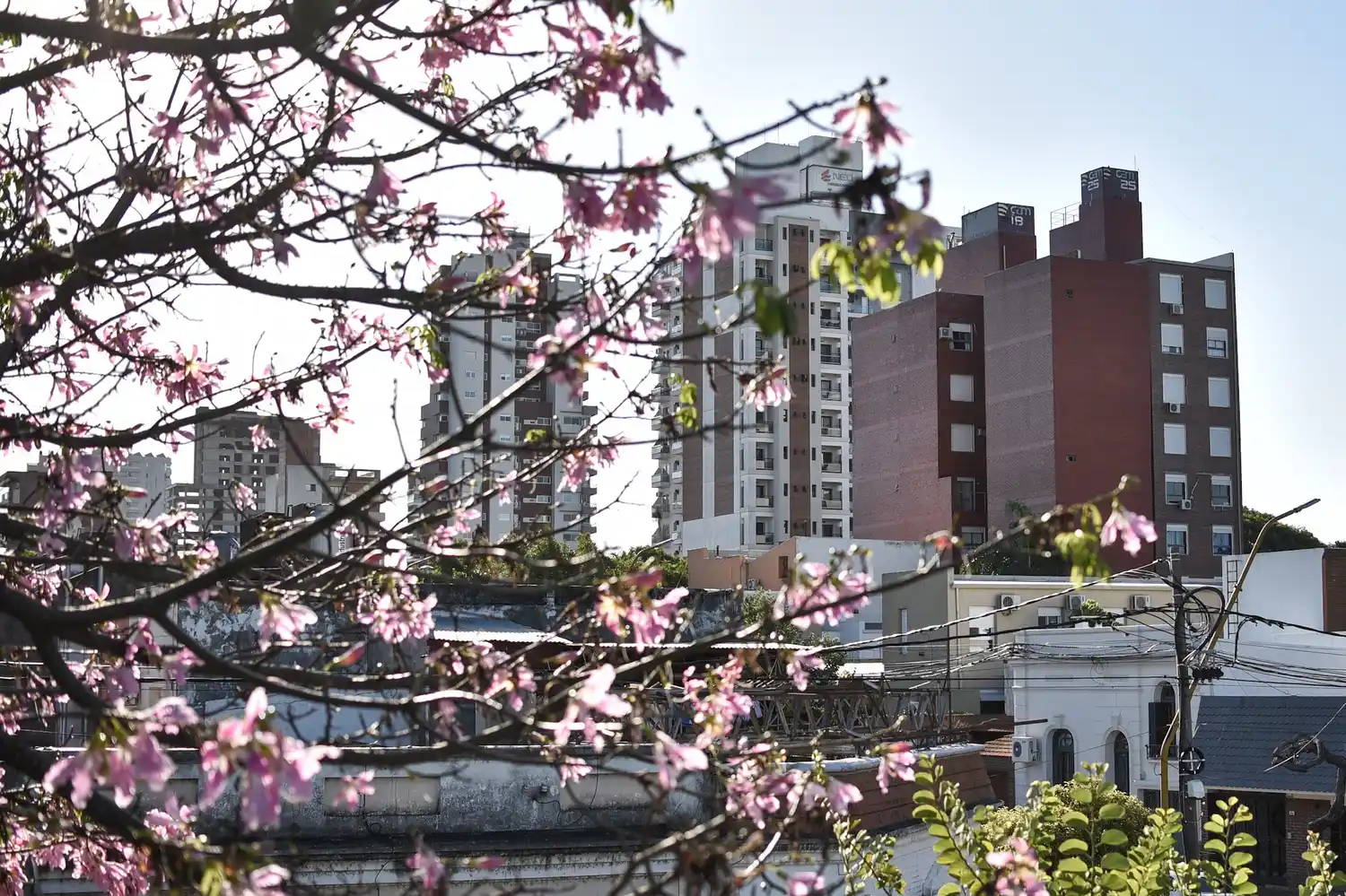La Municipalidad organiza una charla sobre el monto de los alquileres