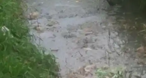 Caño roto