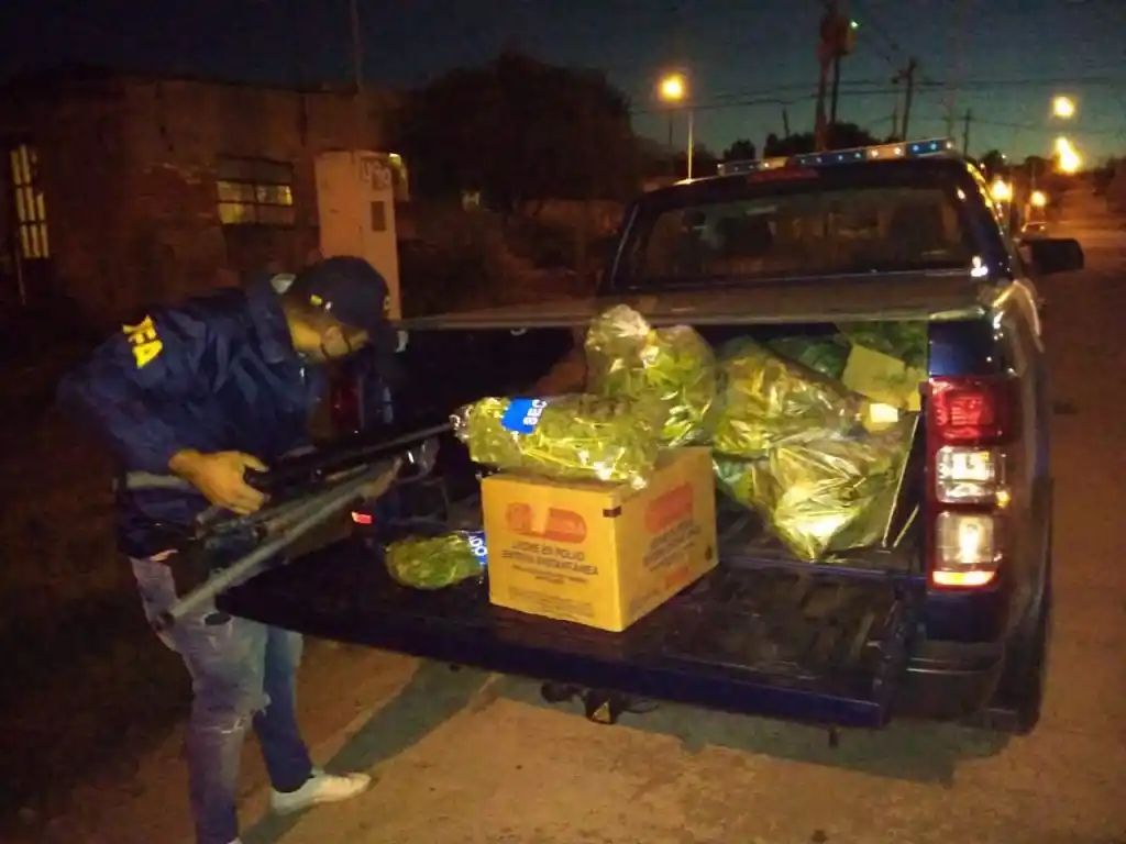 La Policía Federal secuestró más de 20kg de marihuana e imputó a una mujer