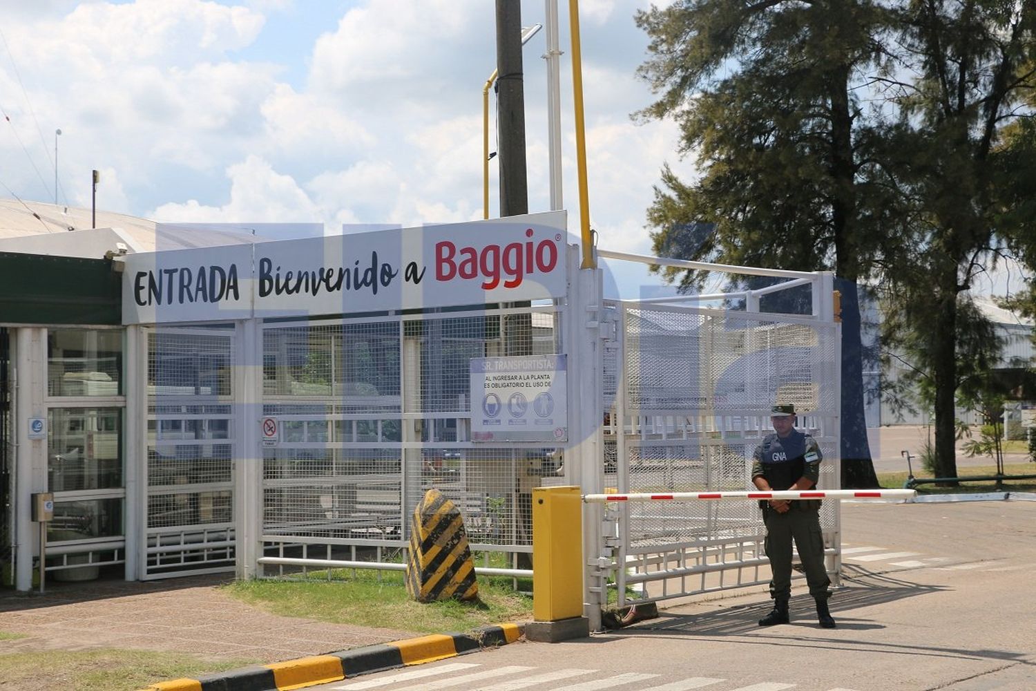 Allanan Baggio: sería por la desaparición de $400 millones