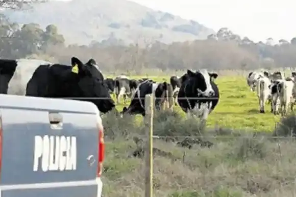 Se realizó la primera reunión de la Mesa Provincial de Delito Rural