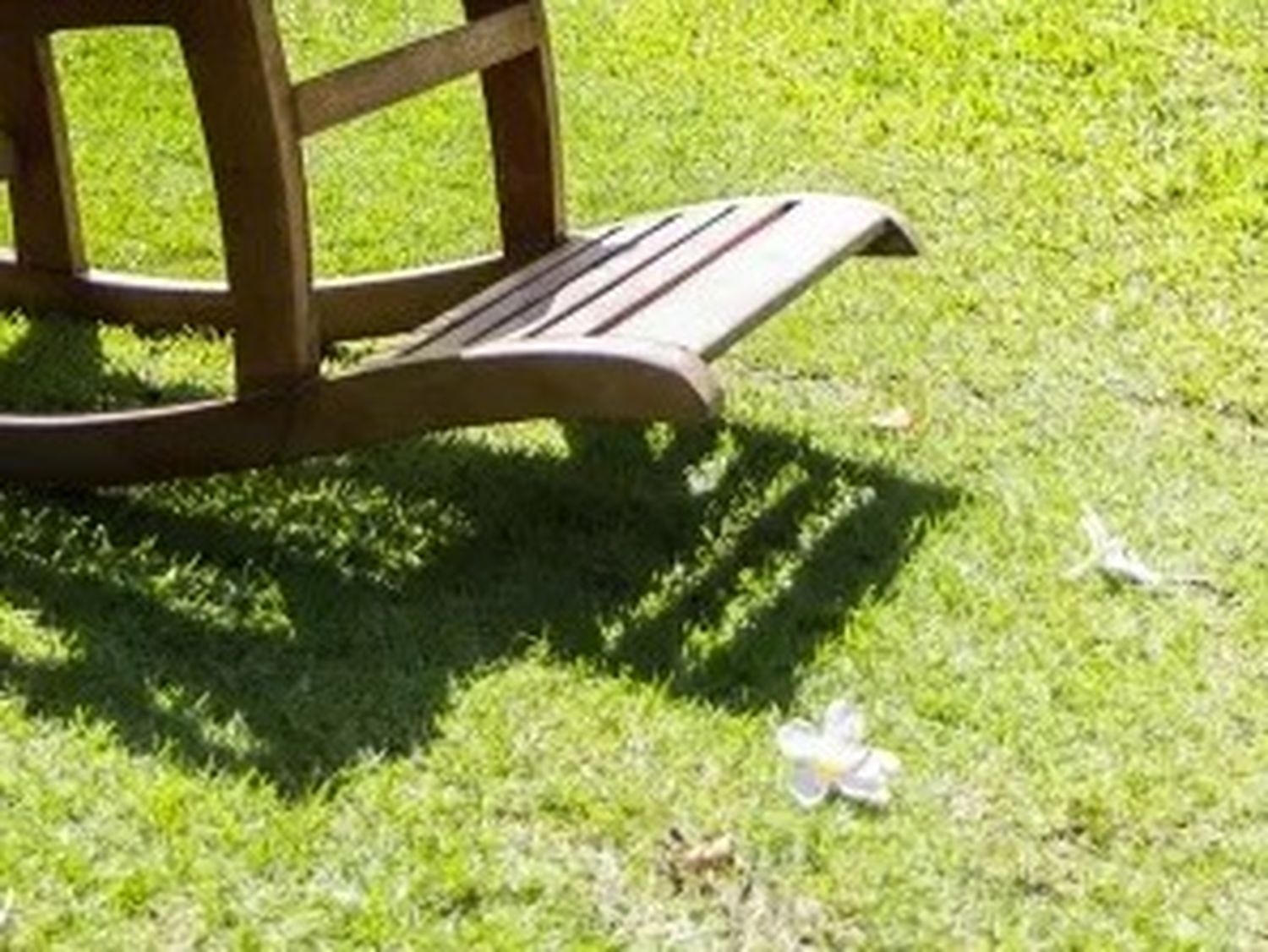 Perspectivas de los patios