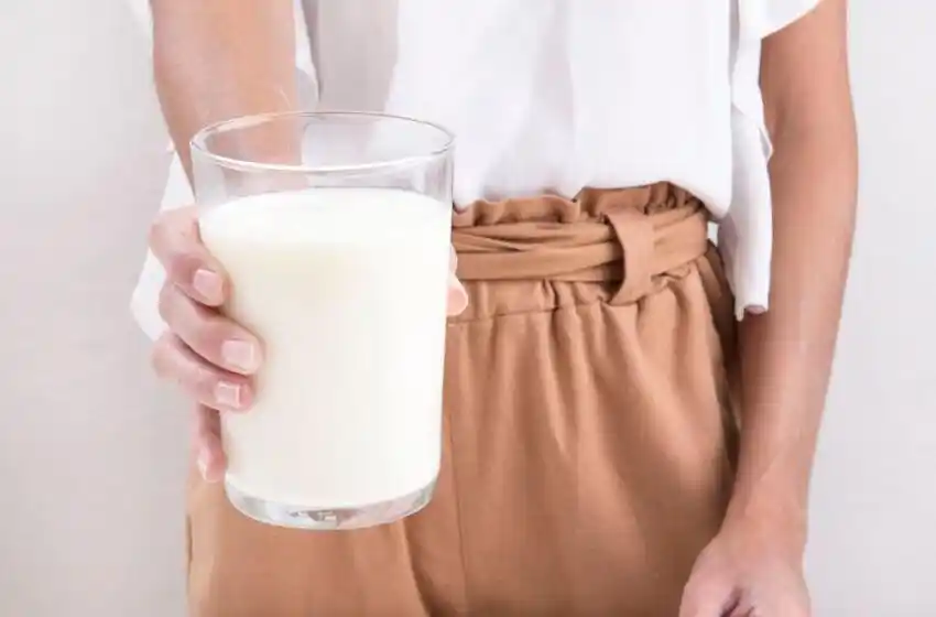 Día Mundial de la Leche