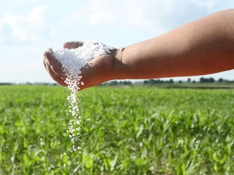 Jorge Rucci analizó el impacto de la guerra en Oriente en los insumos para el agro