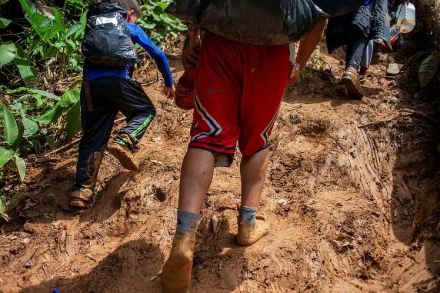 Tragedia con migrantes en Panamá: se desbarrancó un autobús y murieron 33 personas