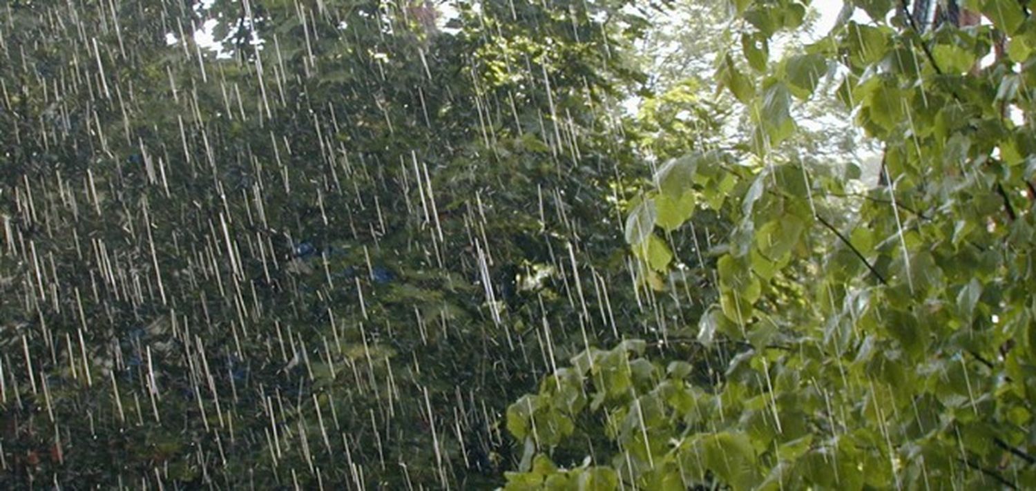 Hubo lluvias en gran parte de la provincia