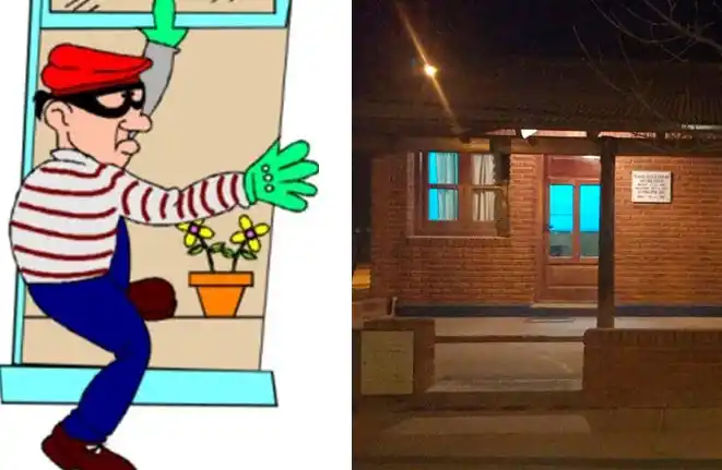 Ladrón de macetas: Un hombre de 42 años fue detenido en la zona norte