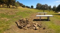 Por más Naturaleza en Tandil: "La Defensora del Pueblo fracasó"