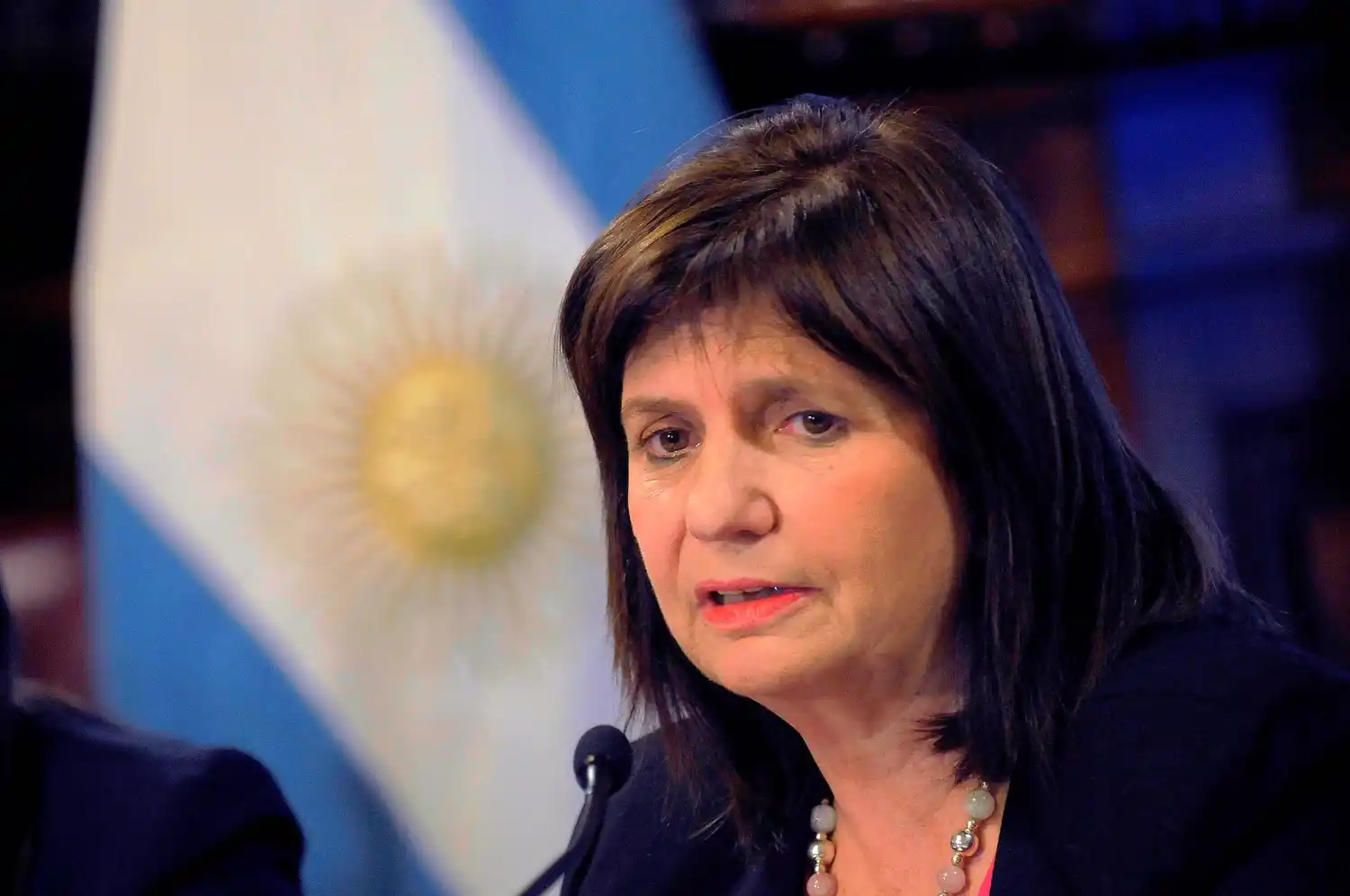 Patricia Bullrich: “El que quiere estar armado, que ande armado”