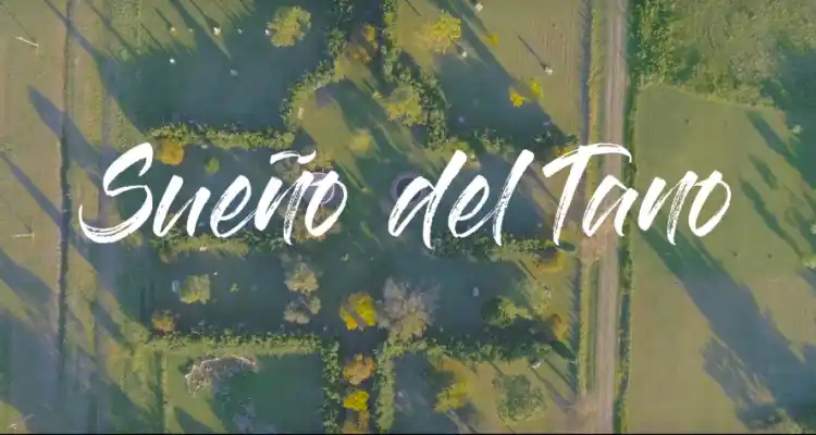 El parque de esculturas El Sueño del Tano desde el aire