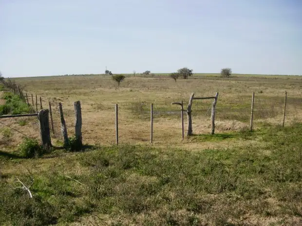 Ratifican el incremento del Impuesto Inmobiliario Rural 