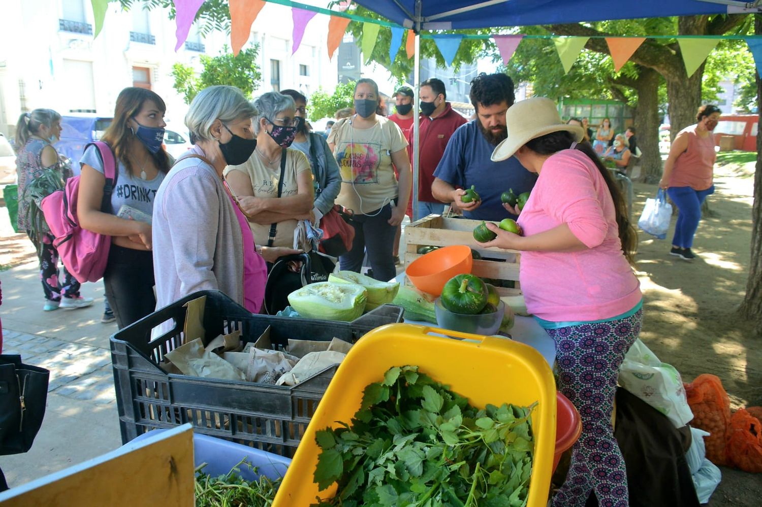 Productores cuestionaron la ordenanza de fomento agroecológico por ser inconsulta y reduccionista