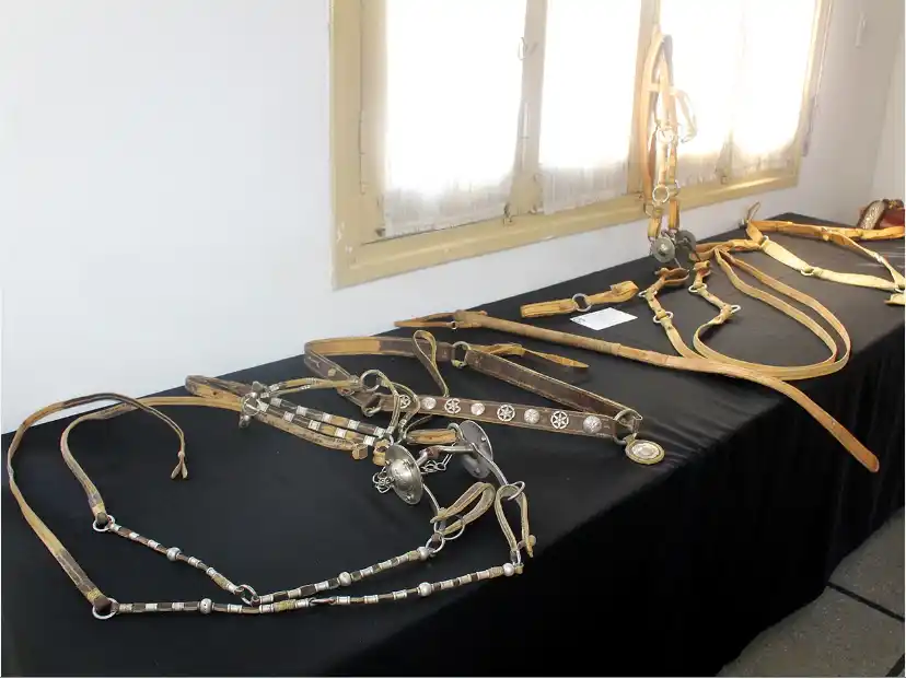 El puestero y el trenzador: charla con Pablo Ramón “Chacho” Rodríguez