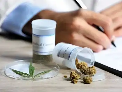 Lanzan encuesta virtual sobre uso medicinal del cannabis en Entre Ríos