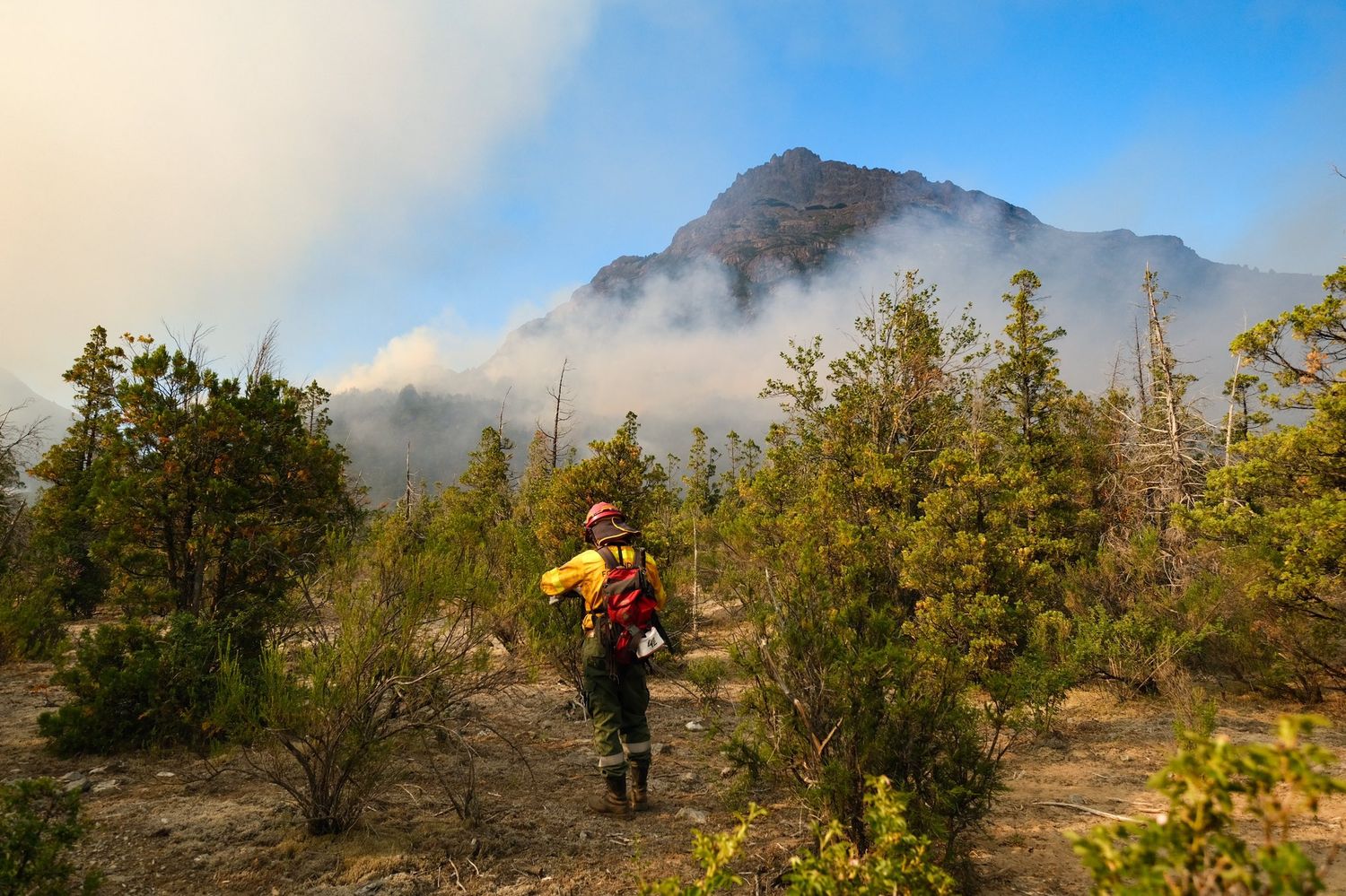 Cinco provincias continúan con focos activos de incendios forestales