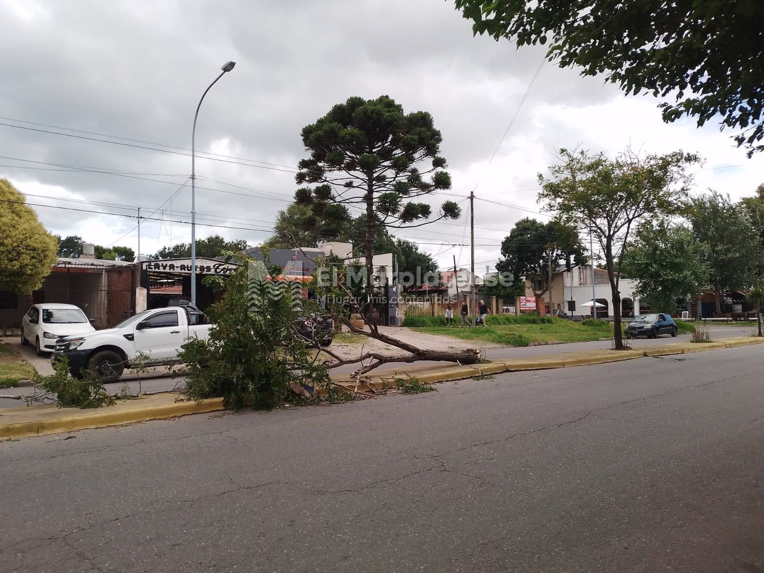 Nuevo alerta amarillo en Mar del Plata, esta vez por fuertes vientos