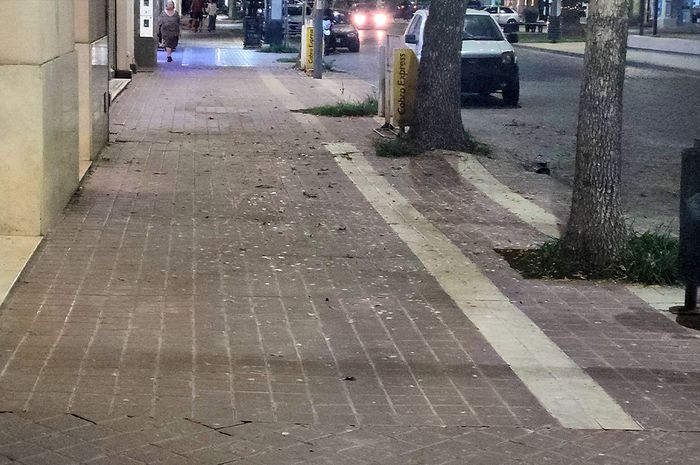 golondrinas invasión en rafaela - 2